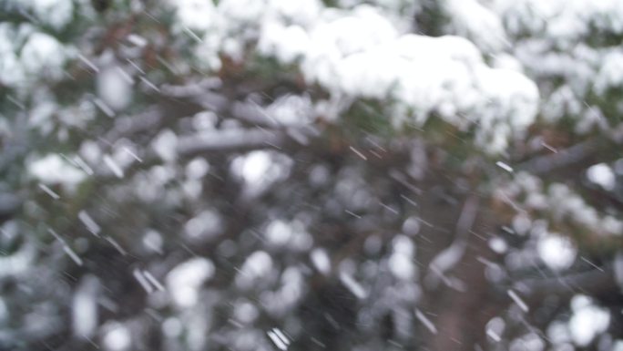 暴雪纷飞 雪花飞舞 循环素材