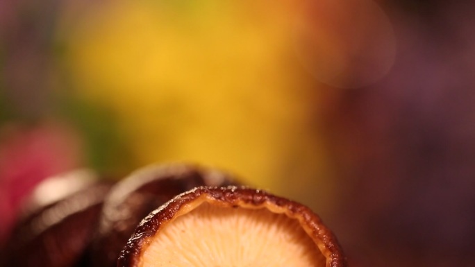 小花菇干香菇蘑菇 (8)