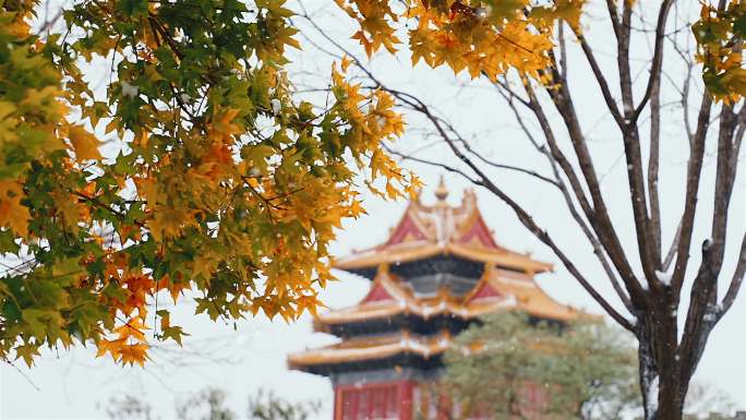 4k北京角楼雪景实拍