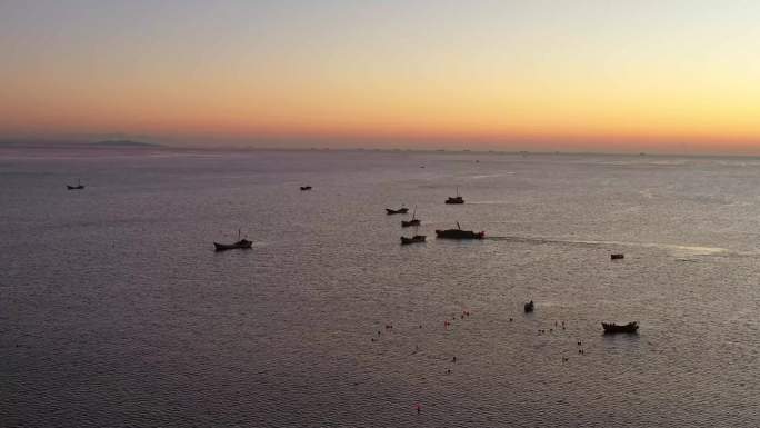 西海岸清晨海洋牧场渔船收获归来4K