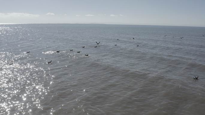 青海湖 冬日 青海高原旅游宣传片景区航拍