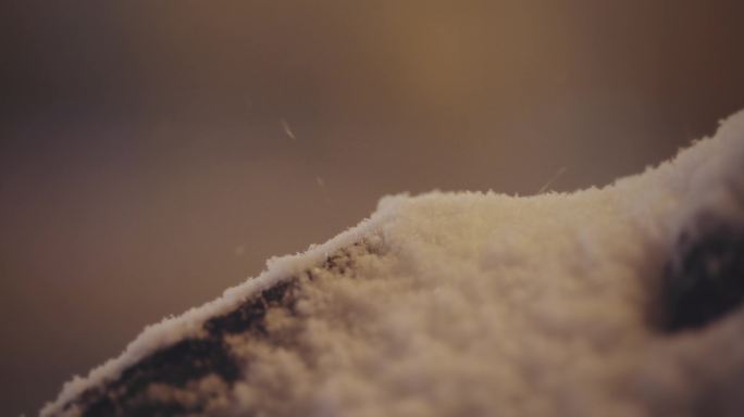 【8K正版素材】自然下雪雪花植物树干积雪