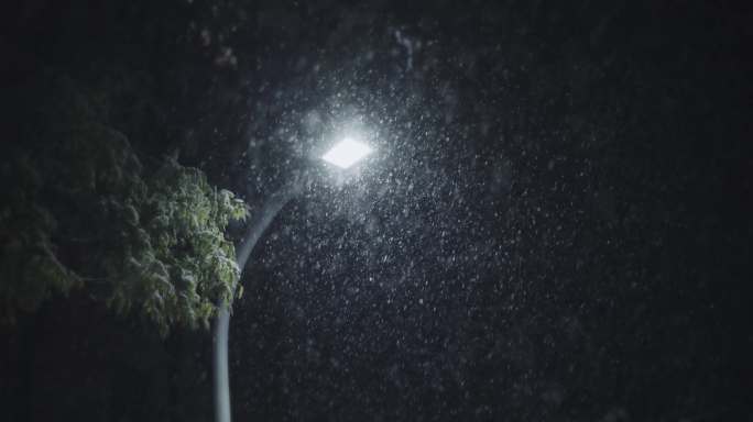【8K正版素材】自然下雪雪花路灯全景仰拍