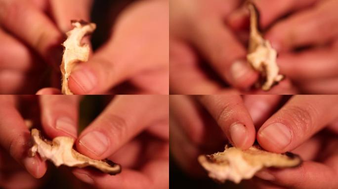 食材香菇肉质一朵香菇 (3)