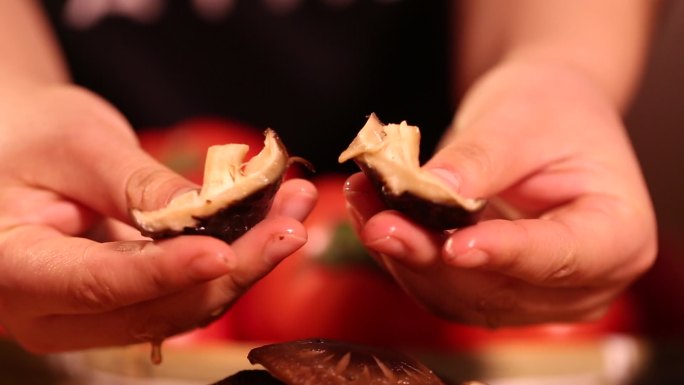 食材香菇肉质一朵香菇 (7)