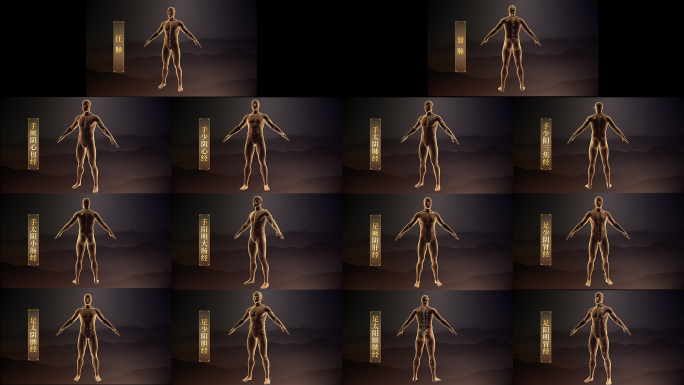 十二经络与任督二脉