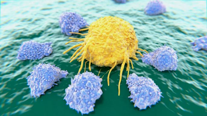癌细胞被T细胞破坏。