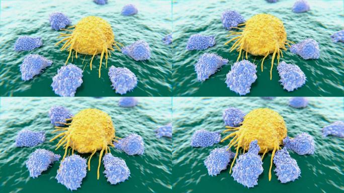 癌细胞被T细胞破坏。