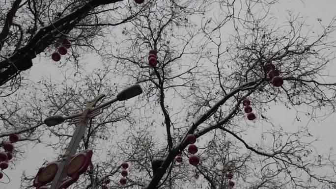 仰拍街头树木飘雪