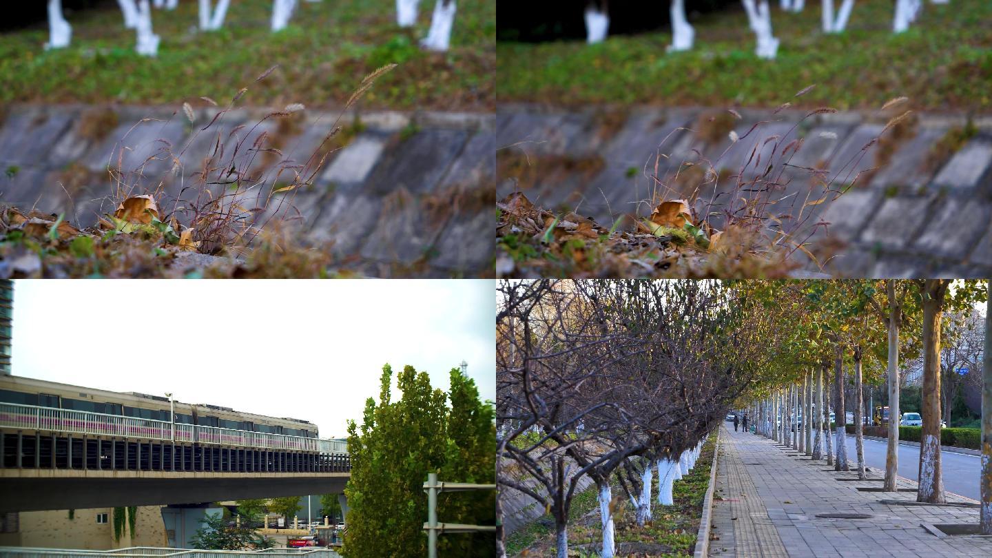 高清地铁街道小草车流写意镜头