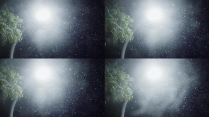 【8K正版素材】自然下雪雪花路灯近景仰拍