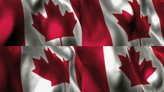 加拿大国旗枫叶飘扬飘