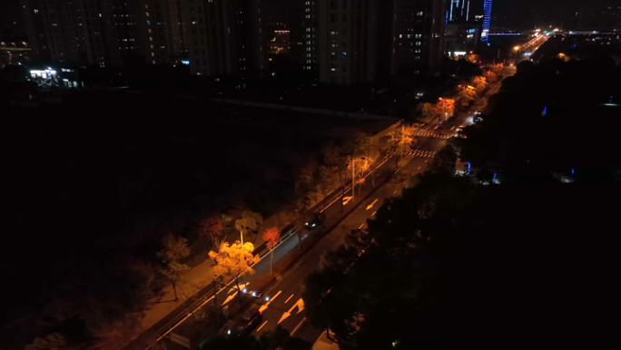 【版权】上海、奉贤、路灯、夜景、航拍