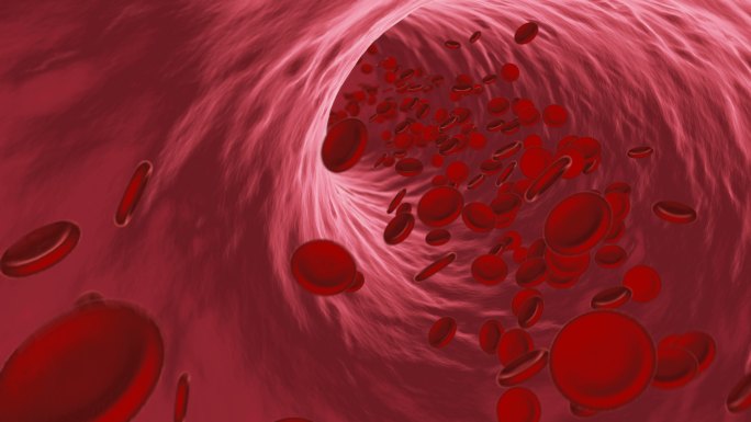 流经静脉或动脉的红血球