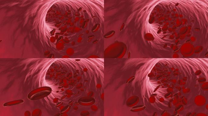 流经静脉或动脉的红血球