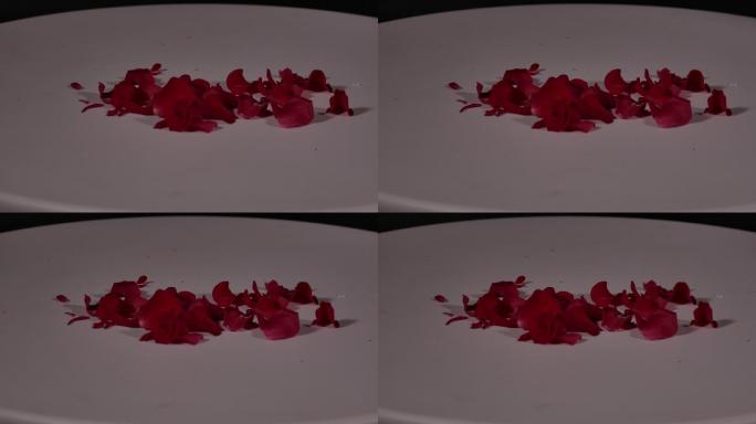 失恋，玫瑰花。玫瑰花瓣。愤怒的 摔花