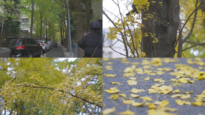 冬天街头热闹景象、慢节奏生活