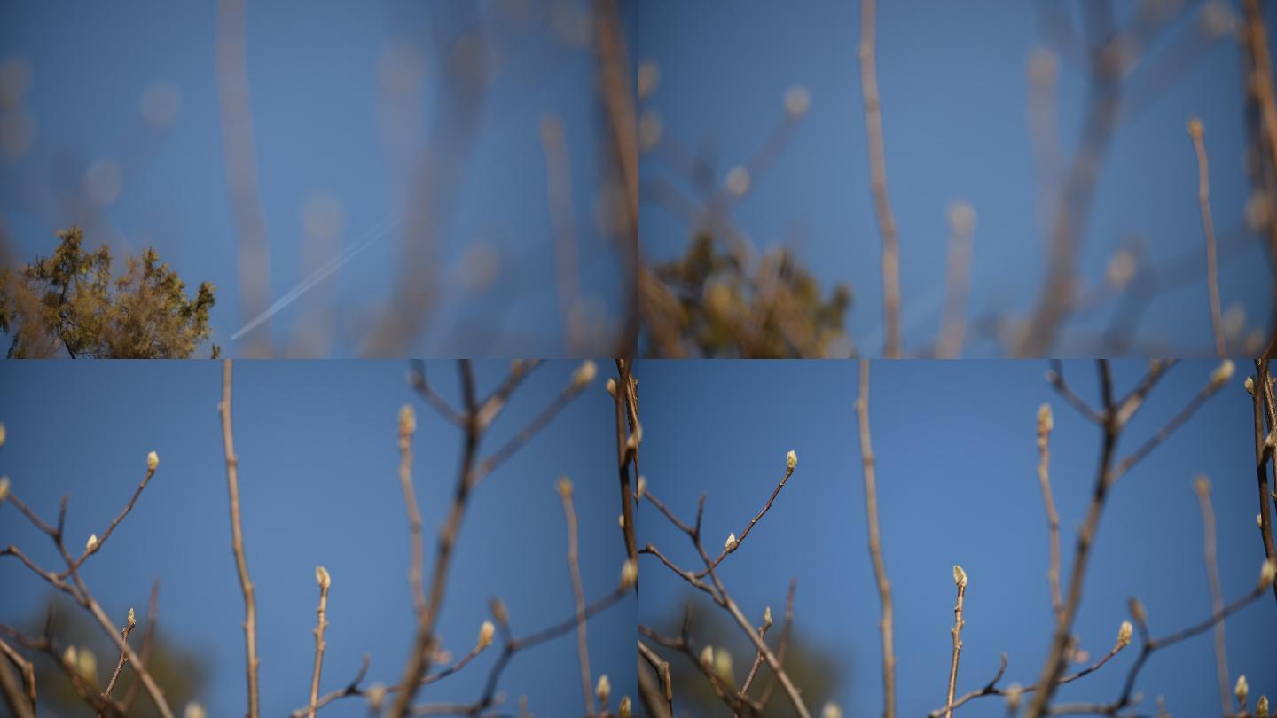 飞机飞过天空