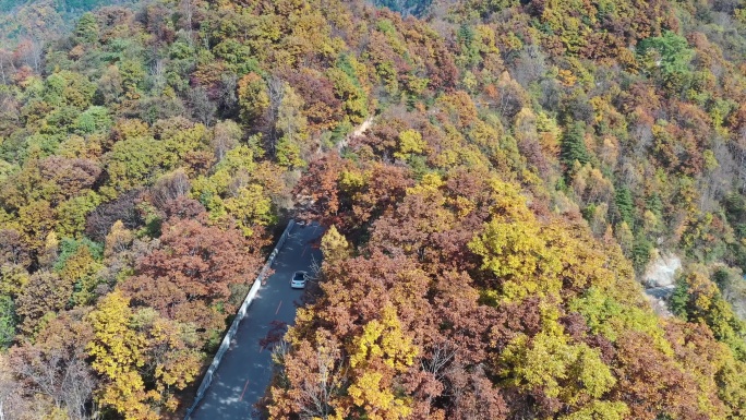 航拍五彩秦岭秋季红叶 山路  追车 4k