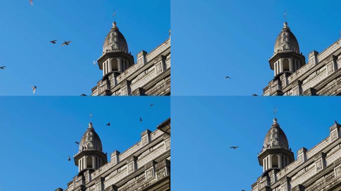 欧式建筑上飞翔的鸽子