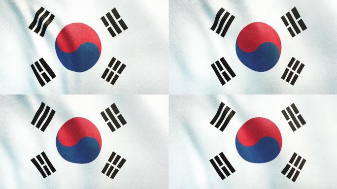 高度详细的韩国国旗动画。