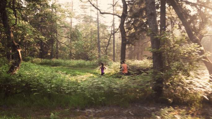 清晨的阳光下，一对空中情侣在森林中奔跑