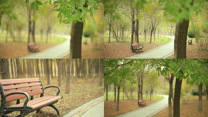 公园内树荫下的长椅