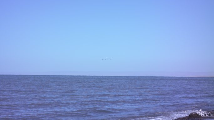 青海湖 高原 冬日 旅游宣传片 青海