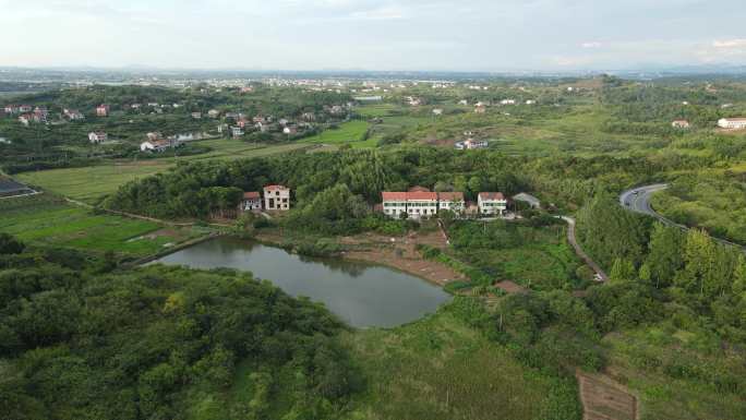 衡阳 珠晖区 茶山坳 金甲 梨园