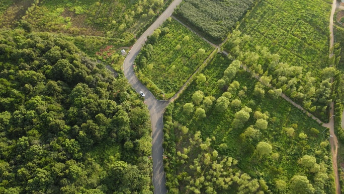 衡阳 珠晖区 茶山坳 金甲 梨园