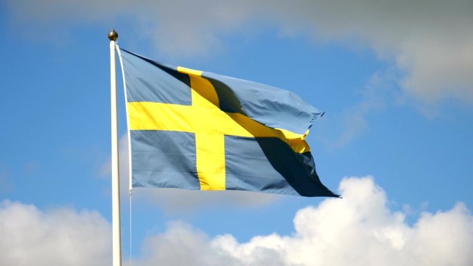 风中的瑞典国旗视频素材