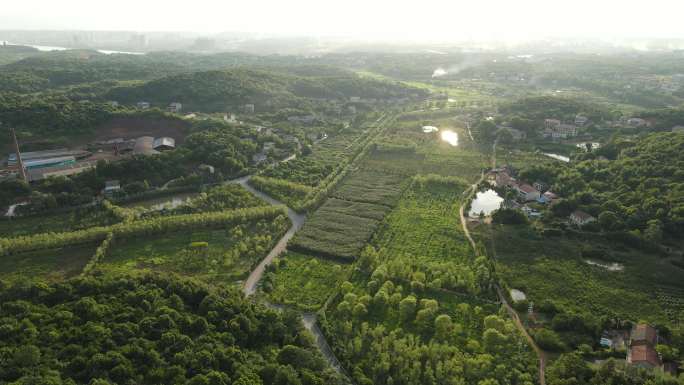 衡阳 珠晖区 茶山坳 金甲 梨园