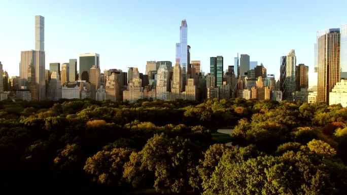 高层建筑的城市景观