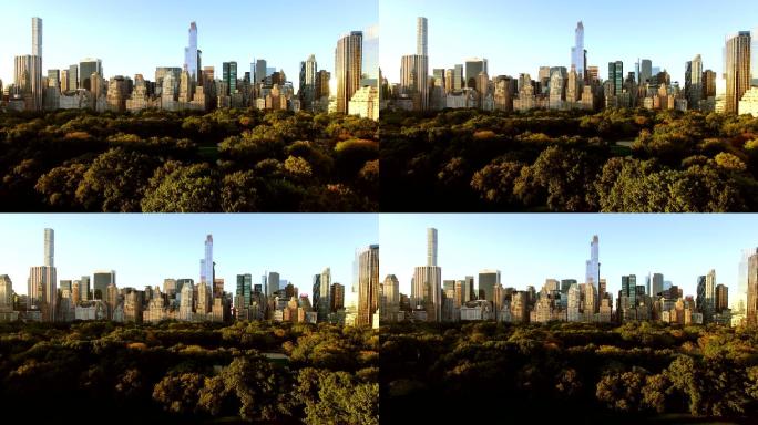 高层建筑的城市景观