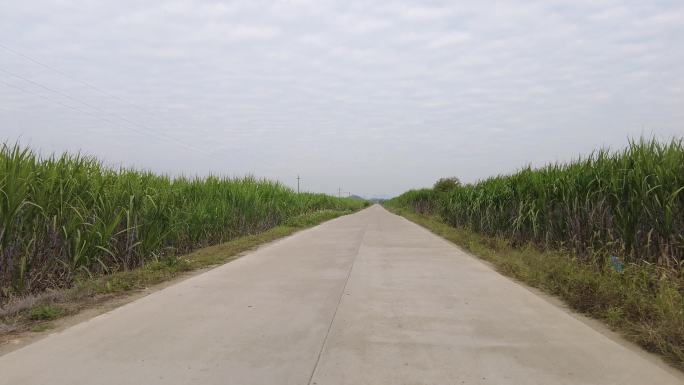 漫漫长路乡村公路