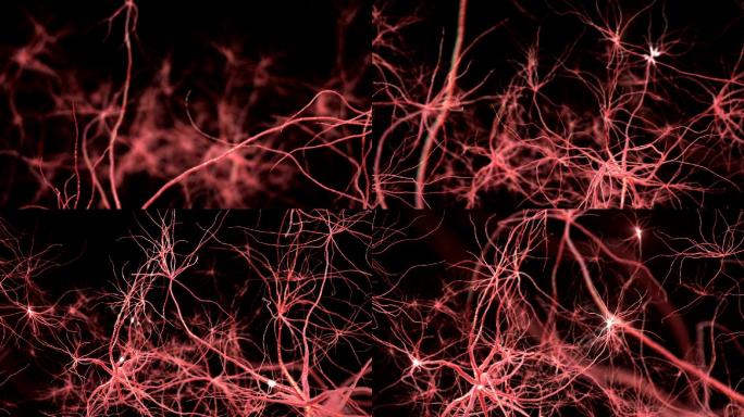神经元突触网络人工智能灵感脑