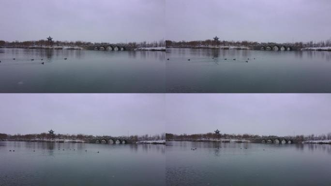 雪天园林湖泊野鸭