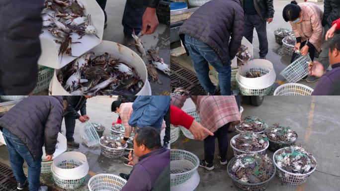 海鲜螃蟹收获，出海打鱼