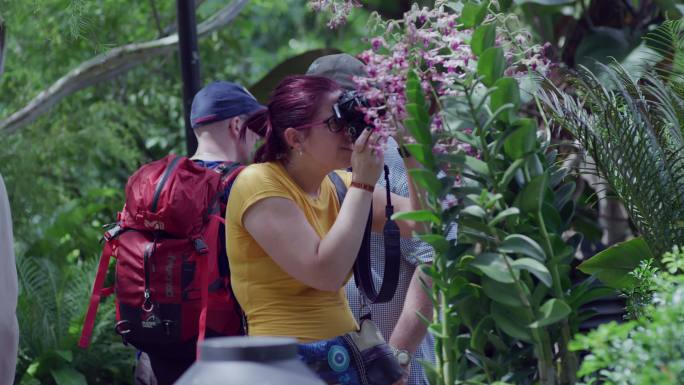 新加坡植物园里的游客拍摄胡姬花兰花