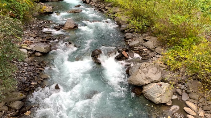 川西高原阿坝旅游卧龙自然保护区清澈溪流