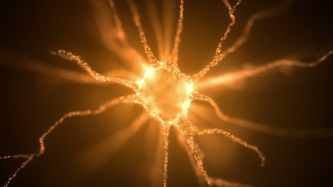 神经元轴突三维医学器官3D人体
