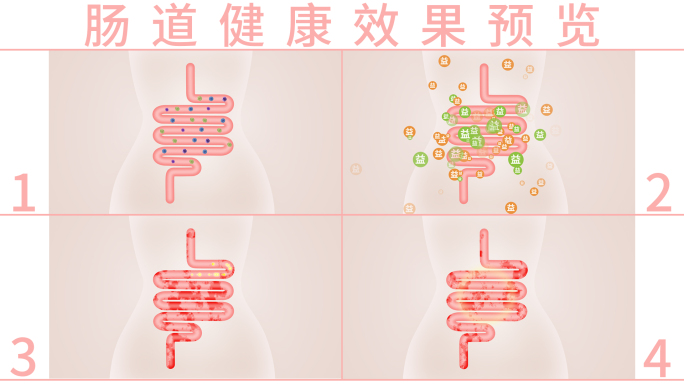 肠道健康视频