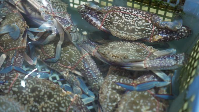 海鲜市场的新鲜活青蟹