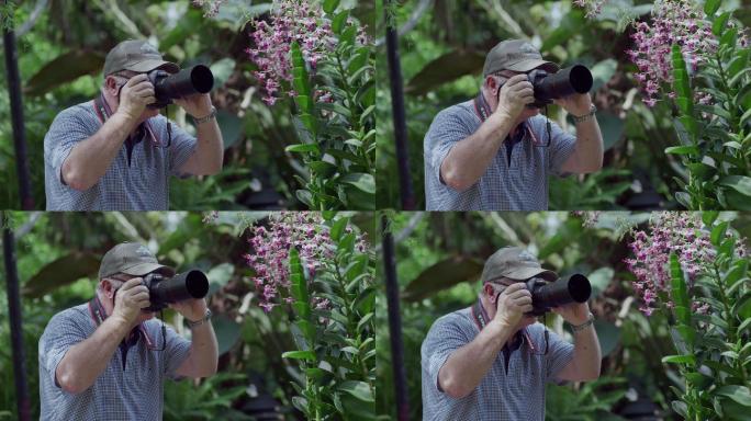 新加坡植物园里的游客拍摄胡姬花兰花