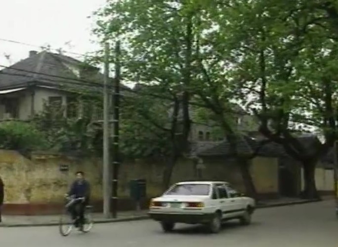 90年代南京城市绿化街道景象