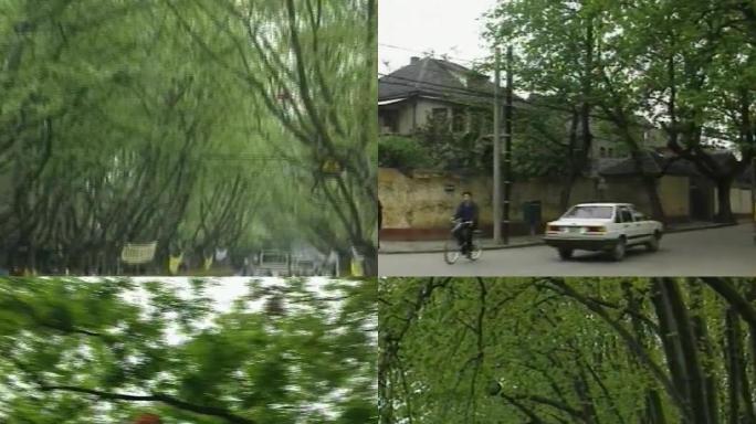 90年代南京城市绿化街道景象