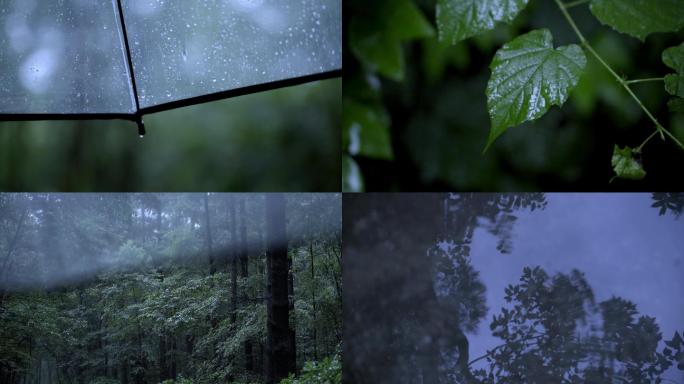 雨天撑伞雨水打在伞上树叶上唯美意境画面