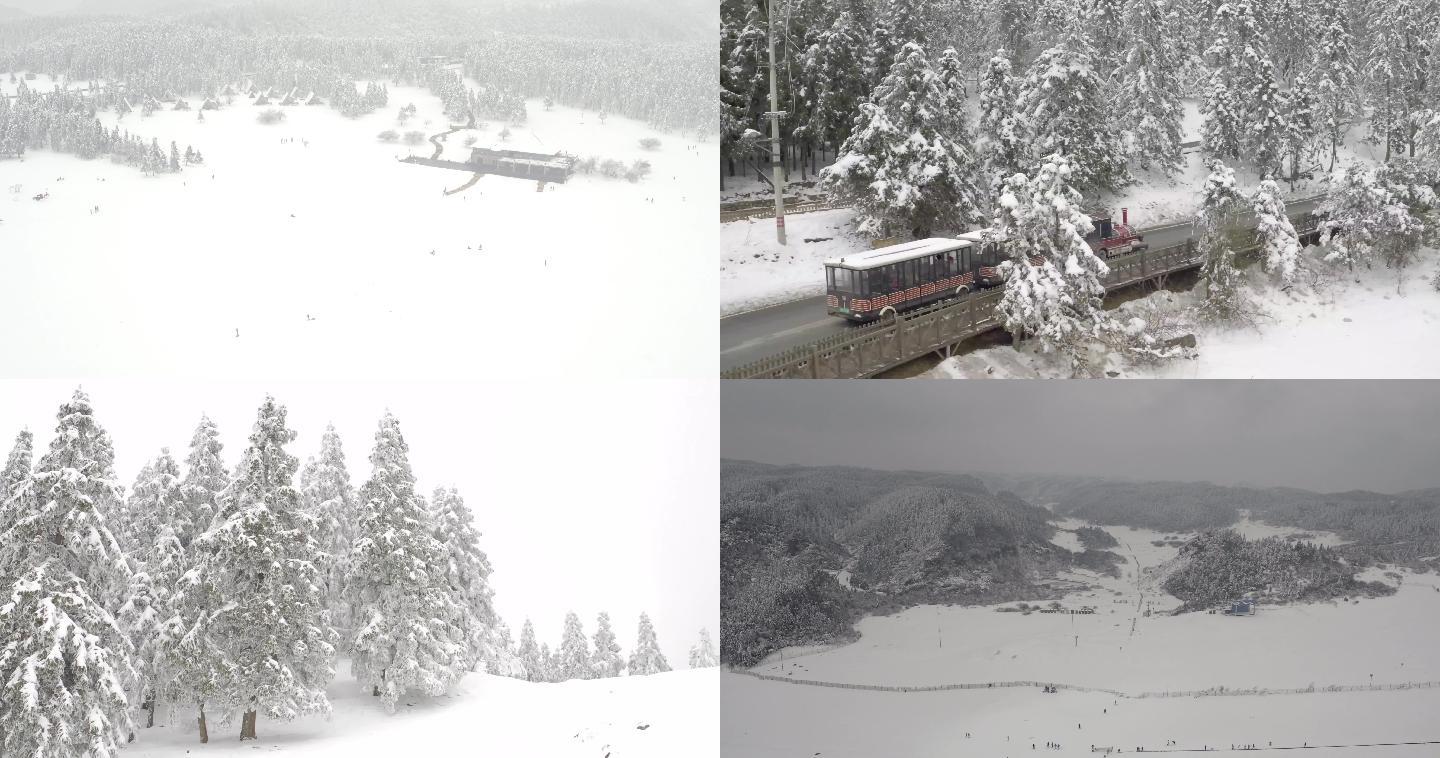 武隆仙女山雪景雾松