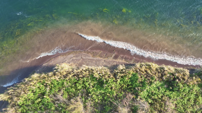 【4K】抚仙湖芦苇荡抚仙湖风光抚仙湖浪花