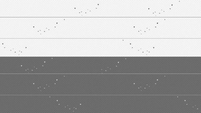 黑白2色带通道飞鸟视频3